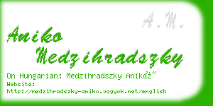 aniko medzihradszky business card